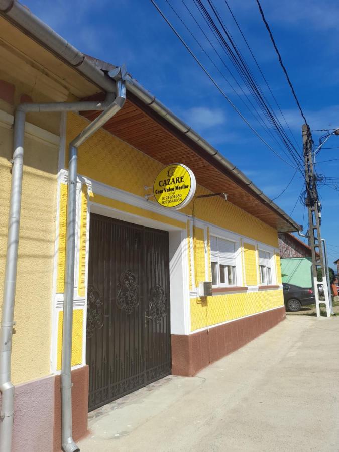 Casa Valea Morilor Guest House Eftimie Murgu Exterior photo