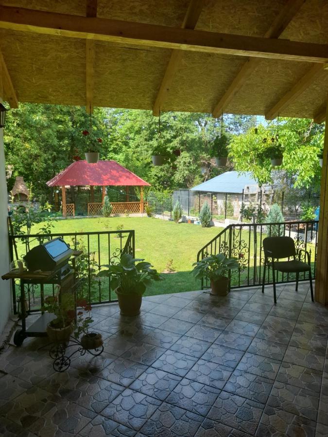 Casa Valea Morilor Guest House Eftimie Murgu Exterior photo