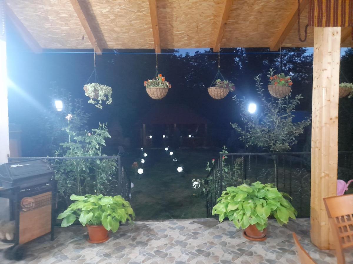Casa Valea Morilor Guest House Eftimie Murgu Exterior photo