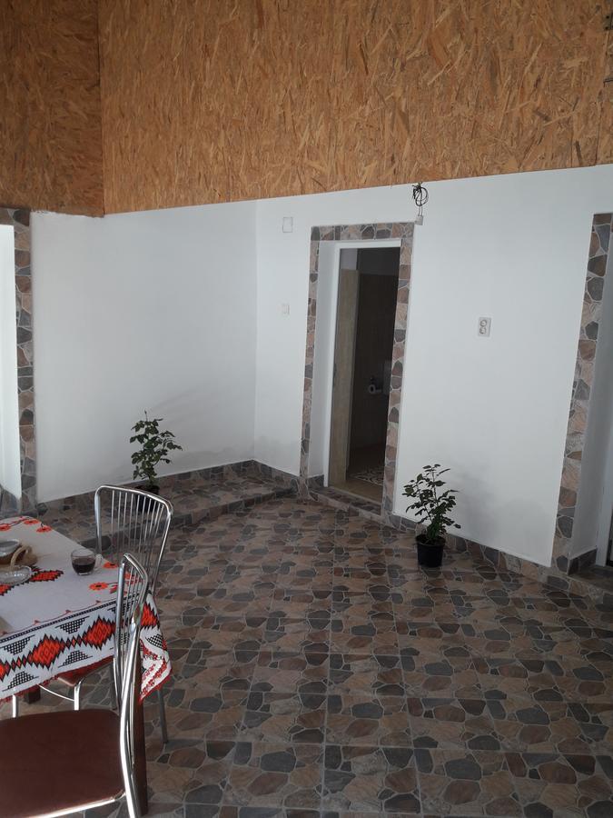 Casa Valea Morilor Guest House Eftimie Murgu Exterior photo