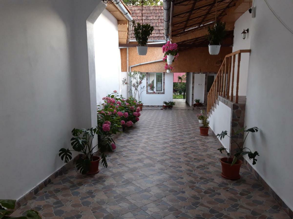 Casa Valea Morilor Guest House Eftimie Murgu Exterior photo